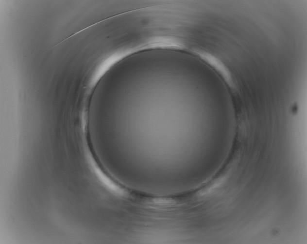 X0000092111383200709191319