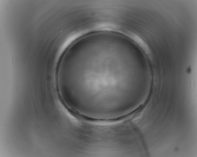 X0000092111384200709191319