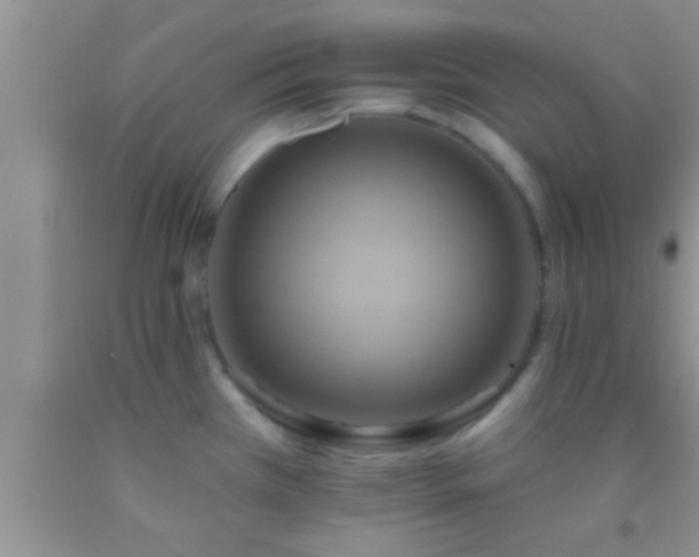 X0000092111385200709191319