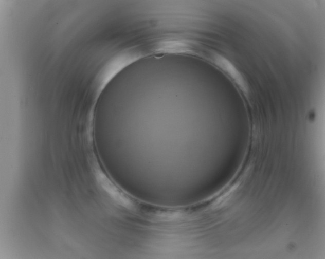 X0000092111386200709191319