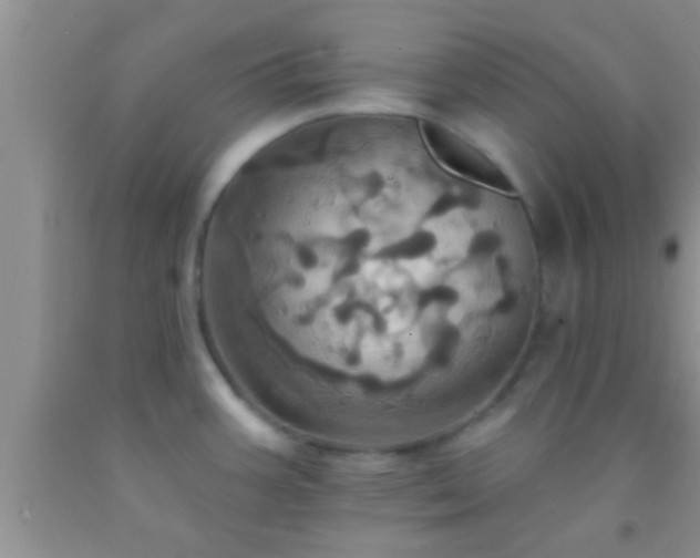 X0000092111387200709191319