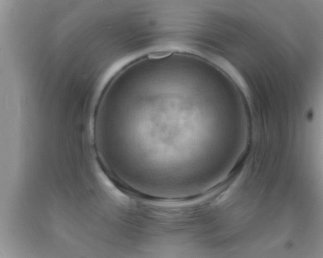 X0000092111388200709191319