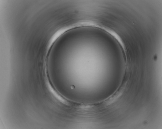 X0000092111389200709191319