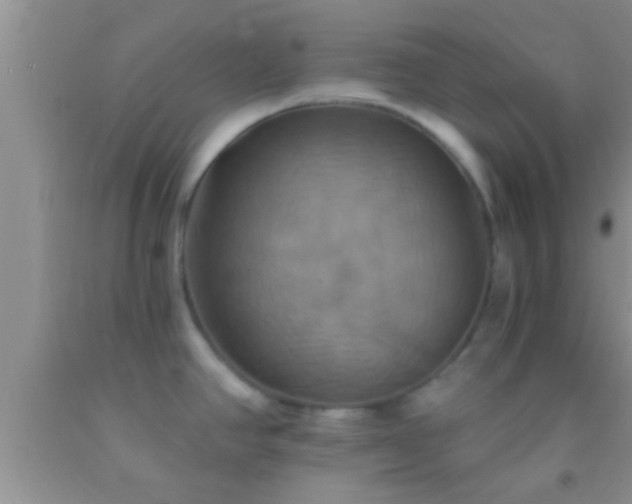 X0000092111390200709191319