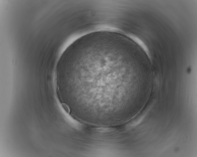 X0000092111391200709191319