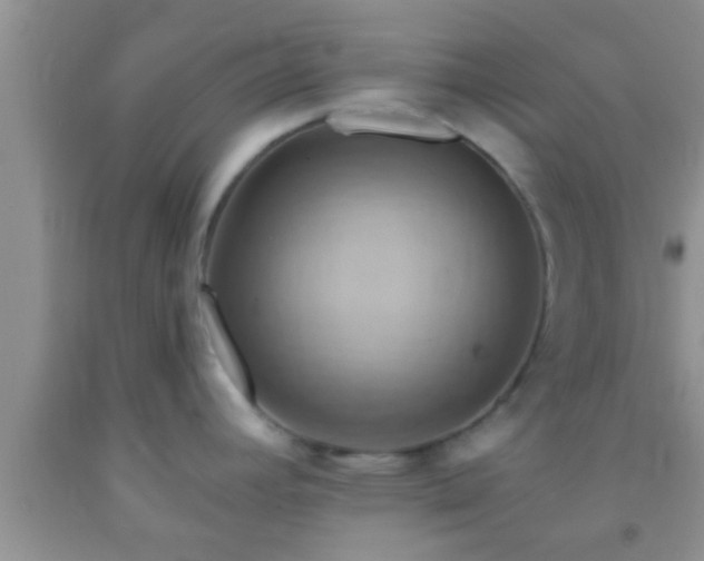 X0000092111392200709191319