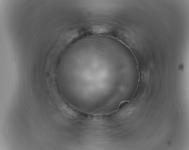 X0000092111393200709191318