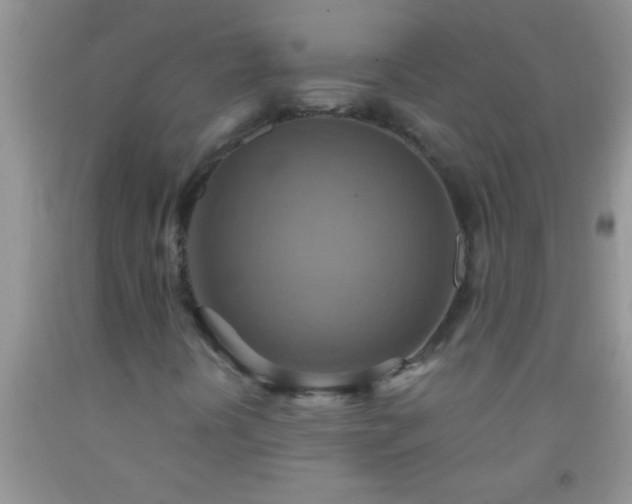 X0000092111394200709191318