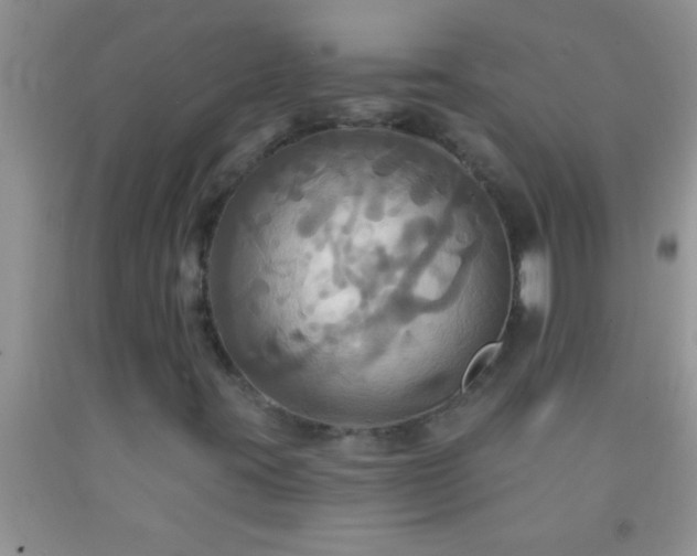 X0000092111395200709191318