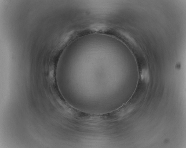 X0000092111396200709191318