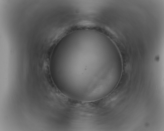 X0000092111397200709191318