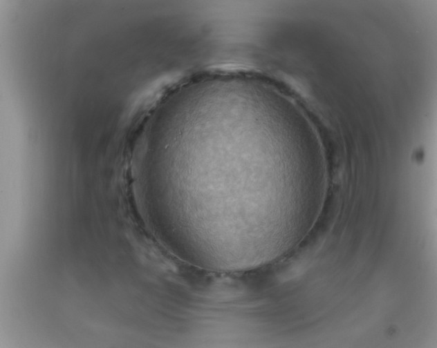 X0000092111398200709191318