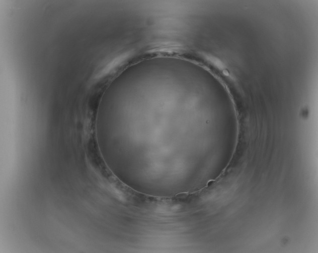 X0000092111399200709191318