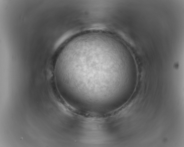 X0000092111400200709191318