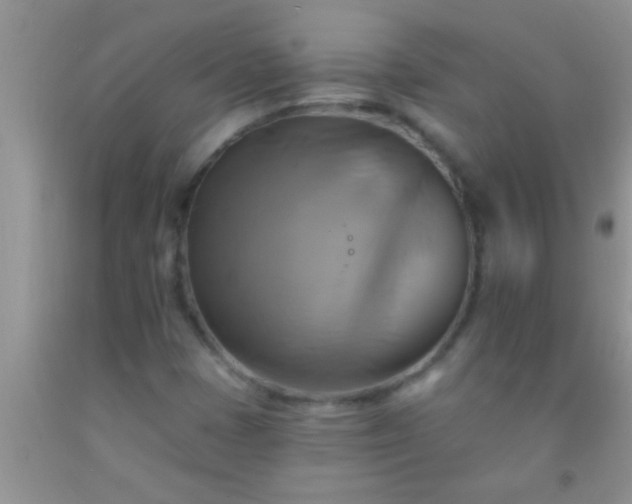 X0000092111401200709191318