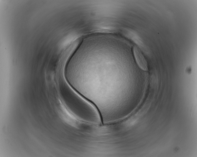 X0000092111402200709191318