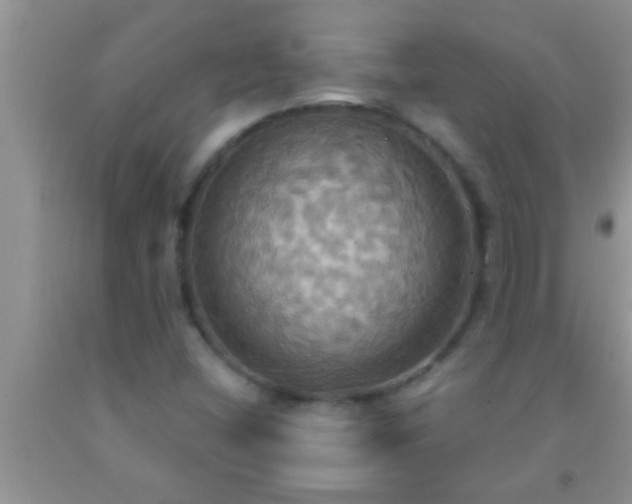 X0000092111404200709191318