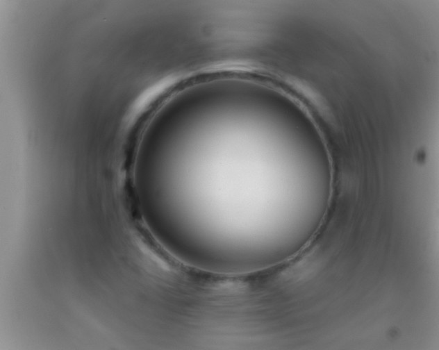 X0000092111406200709191319