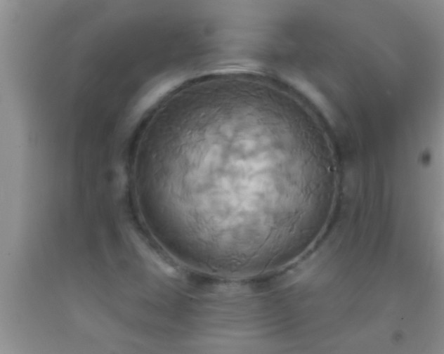 X0000092111407200709191319