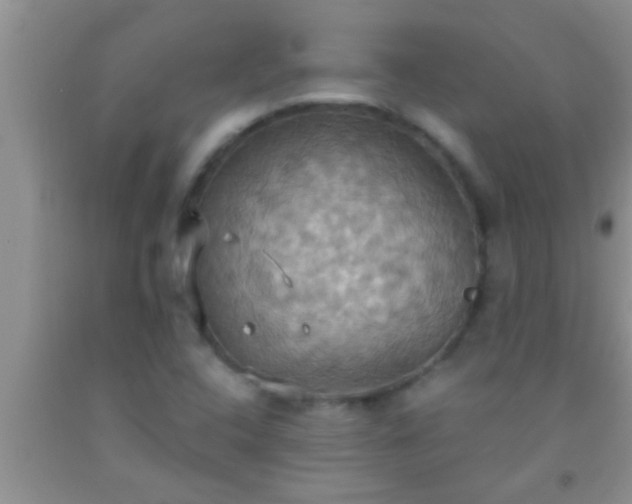 X0000092111408200709191319