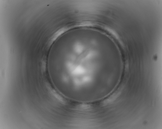 X0000092111409200709191319