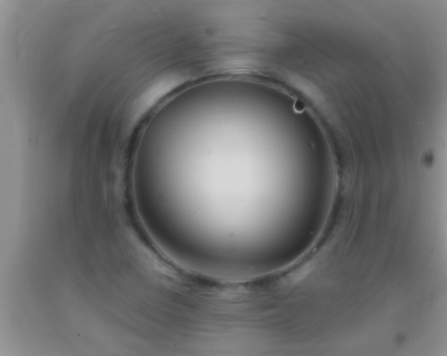 X0000092111410200709191319