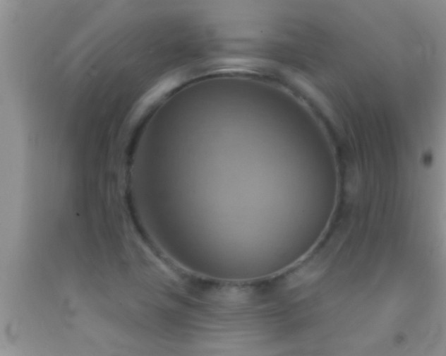 X0000092111411200709191319