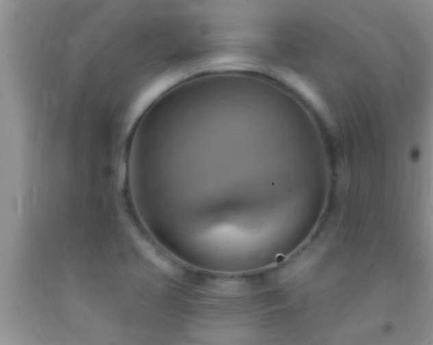 X0000092111413200709191319