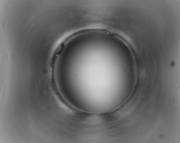 X0000092111414200709191319