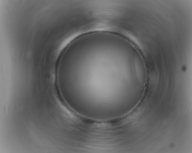 X0000092111415200709191319