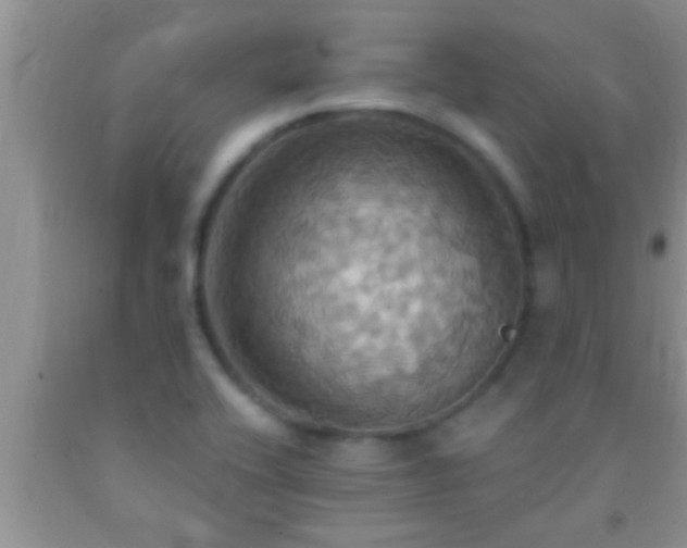 X0000092111416200709191319