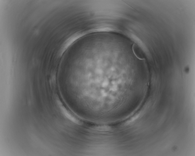 X0000092111417200709191319