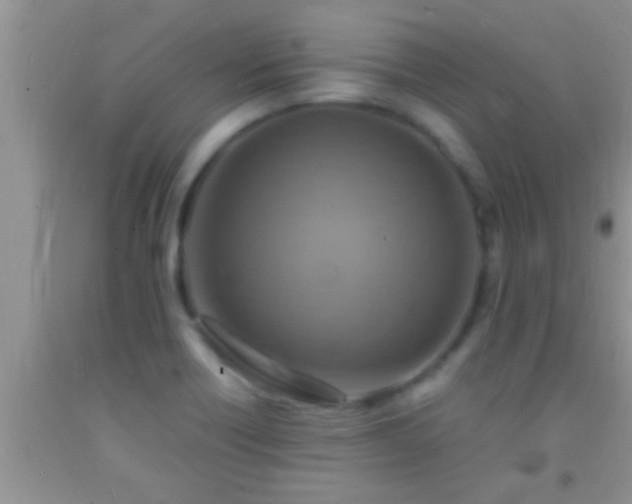 X0000092111418200709191319