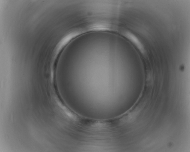 X0000092111419200709191319