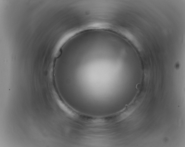 X0000092111421200709191319