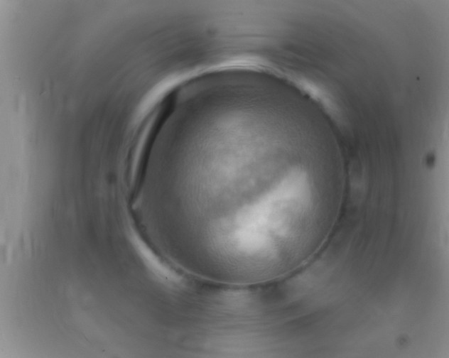 X0000092111422200709191319