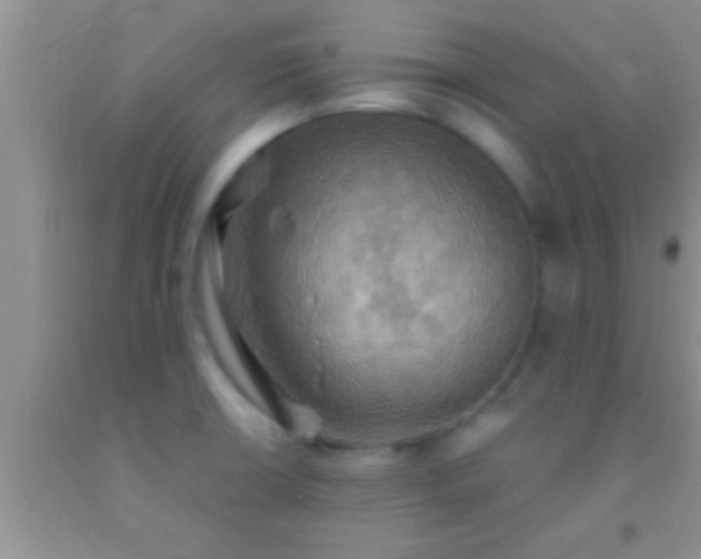 X0000092111426200709191319