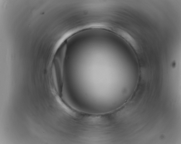 X0000092111428200709191319