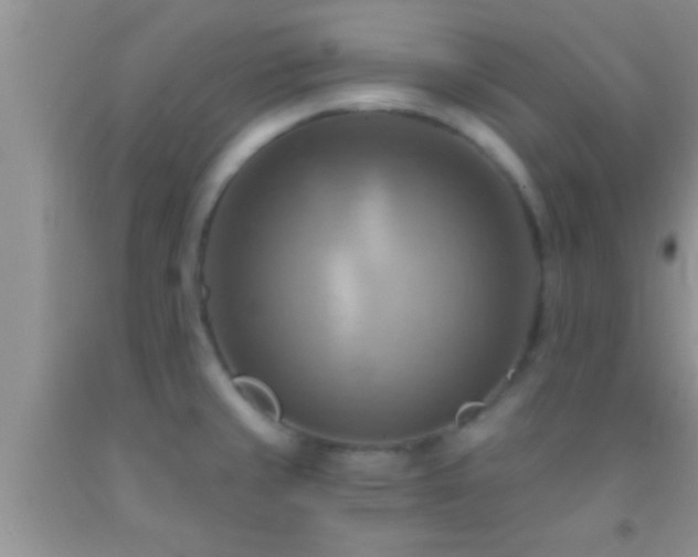 X0000092111429200709191319