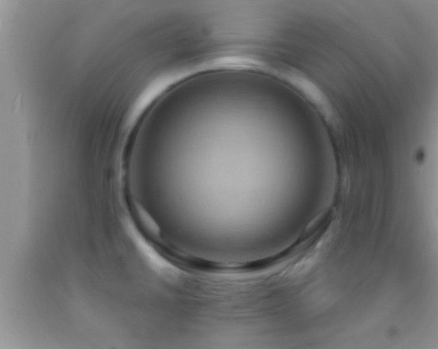 X0000092111430200709191319