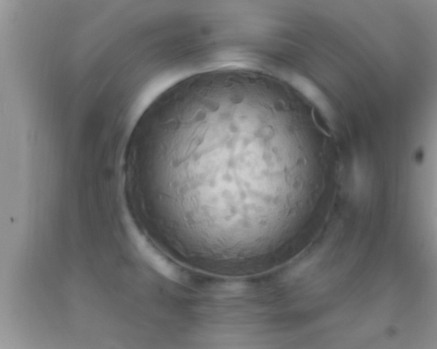 X0000092111431200709191319