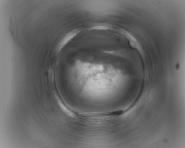 X0000092111433200709191319