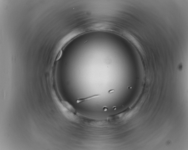 X0000092111434200709191319