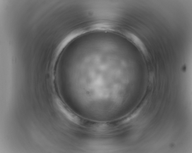 X0000092111435200709191319