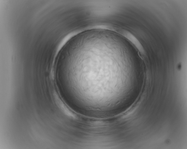 X0000092111436200709191319