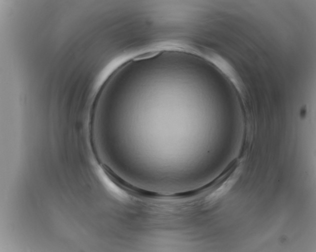 X0000092111438200709191319