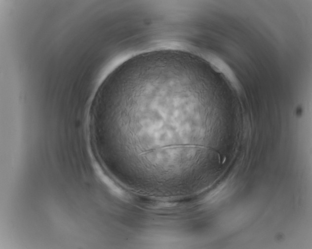 X0000092111439200709191319