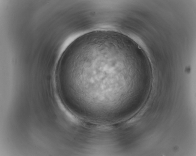 X0000092111440200709191319