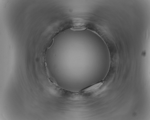 X0000092111441200709191318