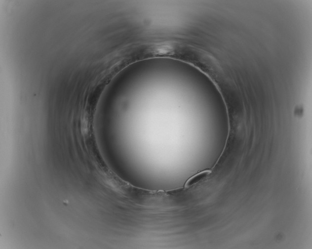 X0000092111442200709191318